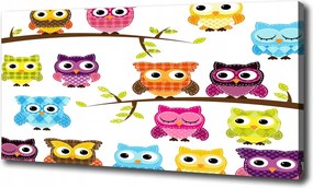 Vászonkép Színes baglyok 100x70 cm