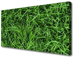 Vászonkép fű Lawn 120x60 cm