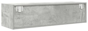TV Szekrény Betongrey 100x31x25,5 cm Szerelt Fa