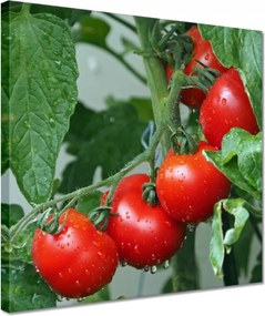 Festmények 30x30 Konyhai képek Forradalmak