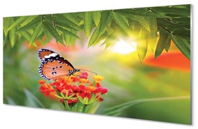 Akrilkép Színes pillangó virágok 120x60 cm