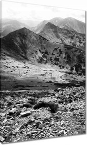 Vászonkép 70x100 Tátra Lengyel hegyek Kilátás