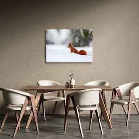 Egy mókus képe (70x50 cm)