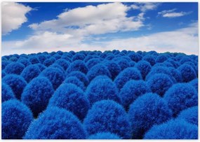 Poszterek 100x70 Klasszikus kék színben