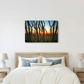 Kép - Növények (90x60 cm)