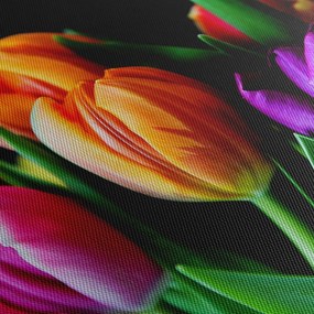 Tulipánok képe fekete alapon (150x105 cm)
