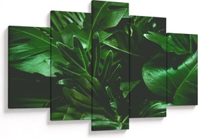 Kép - Pálmalevél (150x105 cm)