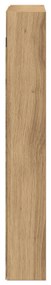 Vitrine Cabinet Artisan Oak 60x8,5x58 cm Mérnöki Fa