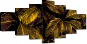 Képek 210x100 Gyönyörű mézszínű levelek