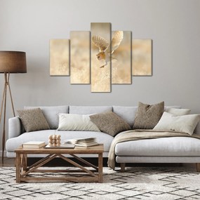 Kép - Bagoly (150x105 cm)