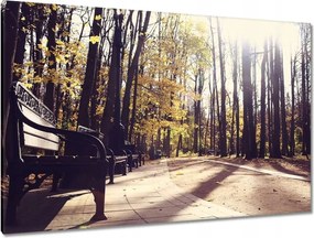 Festmények 120x80 Városi park Tájkép