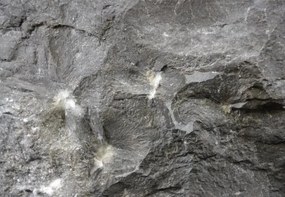 DIVERO Mosdókagyló márvány Black Ø47