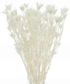 Szárított feketeribizli Keleti fehérre meszelt fehér Nigella szárított virágok