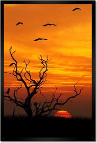 Poszterek keretben 40x60 Naplemente