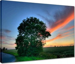 Vászonkép 40x30 Lángoló égbolt