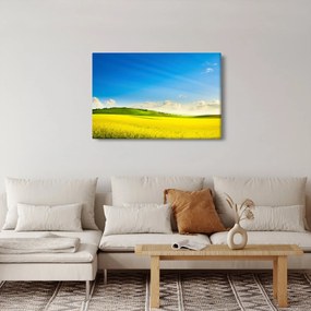 Kép - Tavaszi ég (90x60 cm)