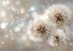 Fotótapéta Pitypang Absztrakt Hálószoba Nappali Tapéta Flizelina 200x140