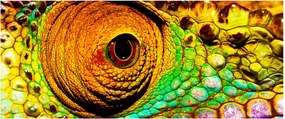 Kép - Kaméleon (120x50 cm)