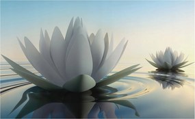 Fotótapéta Flizelina Nappali és Hálószoba Irodába Vízi liliomok 416x254 Ragasztó