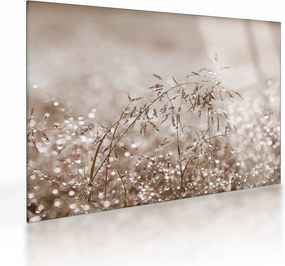 Üveg kép - rét barna árnyalatokban (70x50 cm)