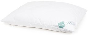 4Home Aloe Premium paplan és párna szett, 140 x 220 cm, 70 x 90 cm