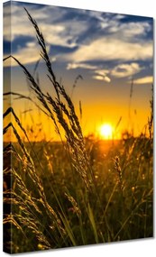Vászonkép 20x30 Naplemente a füvek között