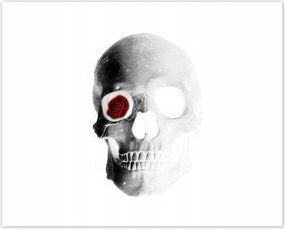 Poszterek 50x40 Koponya rózsával Rózsa