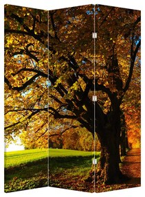 Paraván -  őszi fa (126x170 cm)