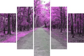 Kép - Út a parkon (150x105 cm)