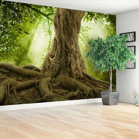 Fotótapéta Nagy fa gyökerei 104x70 cm