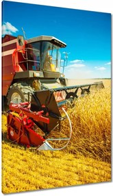 Vászonkép 80x120 Kombájn fűnyíró