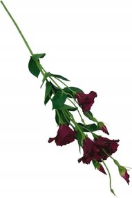 Eustoma ág 80 cm bordó