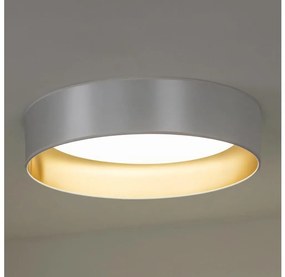 Duolla Duolla - LED Mennyezeti lámpa ROLLER LED/24W/230V ezüst/arany DU605328