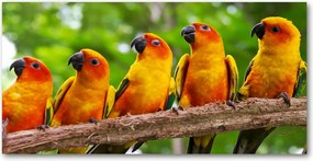 Fotó-üvegkép Papagájok az ágon 140x70