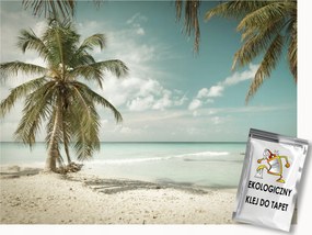 Fotótapéta Flizelina Tengerpart Pálmafák Tenger Paradicsom Tropical Beach 400x280 ragasztó