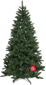 Kanadai lucfenyő 2D 210 cm