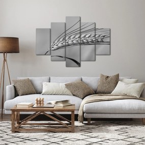 Kép - Búza, fekete-fehér (150x105 cm)