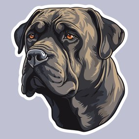 PIPPER. Matrica Cane Corso Méret: 60cm