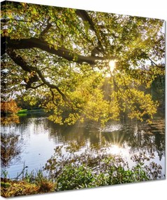 Festmények 30x30 Tájkép