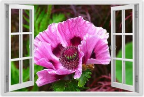 Poszter 60x40 Lila virág