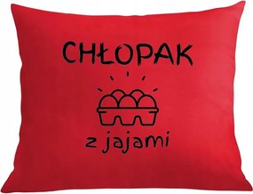 Párna párnahuzat fiúnapra Fiú tojással Ajándék