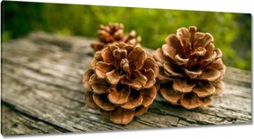 Képek 115x55 Tobozok a kertben