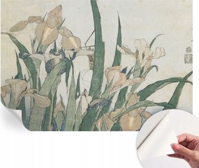 Mosható öntapadós fotótapéta étkezőbe Finom íriszek 152x104 cm