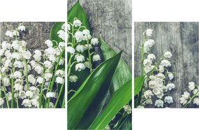 A gyöngyvirág képe (90x60 cm)