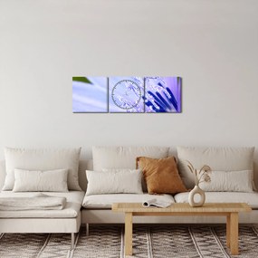 Kép - Virág (órával) (90x30 cm)