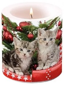 Christmas Kitten átvilágítós gyertya 8x7,5cm