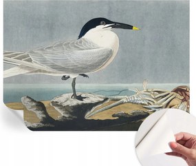 Öntapadós fotótapéta Falra 3D Loft Ornitológiai elegancia 208x146