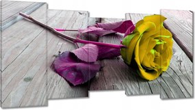 Festmények 150x80 Freeky rose