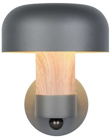 Fali kültéri lámpa (magasság 24,5 cm) Fraser – Trio