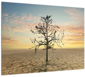 Kép - fa a sivatagban (70x50 cm)